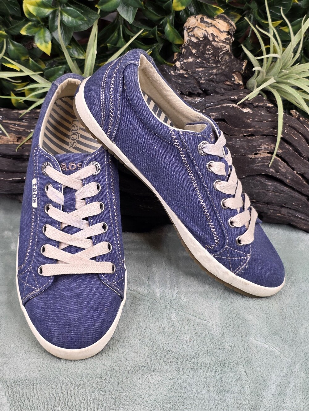 TAOS Star - Blue Canvas Sneakers